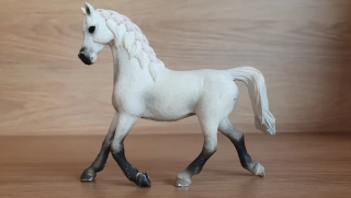 Bílá arabská klisna 13761, model 2013