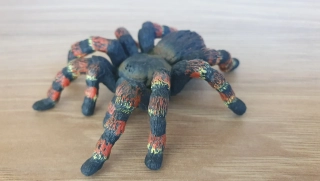 Tarantule 14829, model 2018