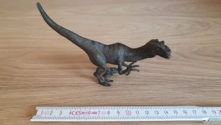 Dinosaurus zn. Delta sport