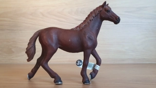 Anglický plnokrevník klisna 13855, model 2016