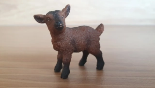 kůzle hnědé 13829, model 2016