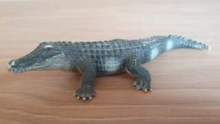 aligátor 14181, model 2000