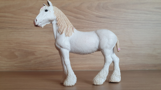 Klisna shirská 13735, model 2012