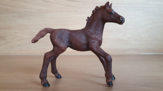 Anglický plnokrevník hříbě 13857, model 2016