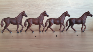 Anglický plnokrevník klisna 13855, model 2016