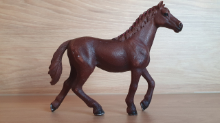 Anglický plnokrevník klisna 13855, model 2016