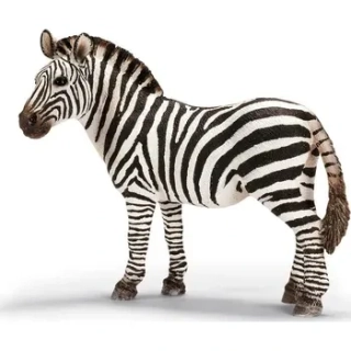 zebra 17021,nové