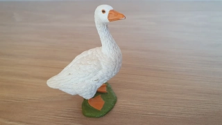 husa  13799, model 2015