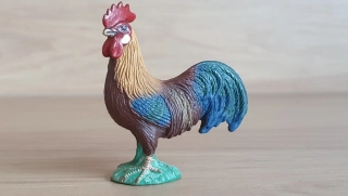 kohout  13645, model 2008