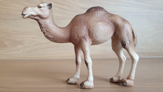velbloud jednohrbý 14355, model 2005