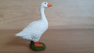 husa  13799, model 2015