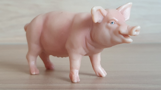 prasnice  13208, model 1988