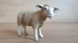 beran  13266, model 2002