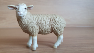 ovce  13283, model 2003