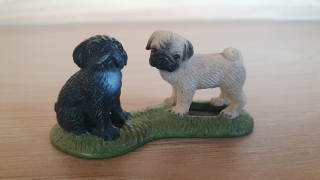 mops štěňata 16383, model 2009