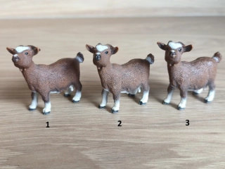 koza trpasličí 13715, model 2011