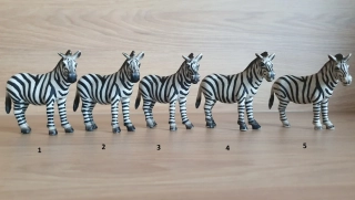zebra  14148, model 1998