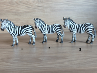 zebra  14392, model 2008