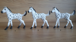 Knabstrupperské hříbě 13890, model 2018