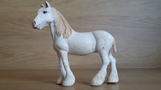 Klisna shirská 13735, model 2012