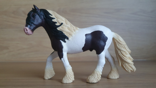 Tinkerský hřebec 13831, model 2016