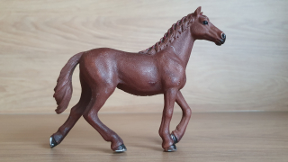 Anglický plnokrevník klisna 13855, model 2016