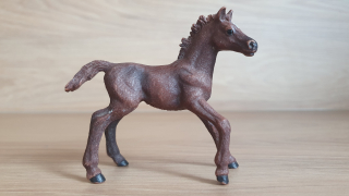 Anglický plnokrevník hříbě 13857, model 2016