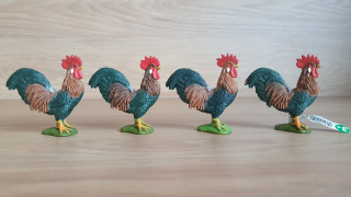 kohout  13825, model 2016