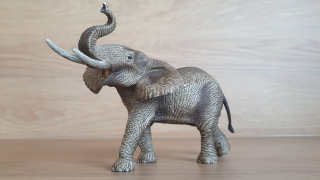 slon africký samec 14762, model 2015