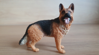 Německý ovčák  16831, model 2014