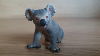 koala 14815, model 2017