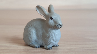 králík divoký  14246, model 2001