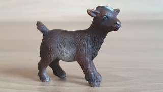 kůzle  13611, model 2005