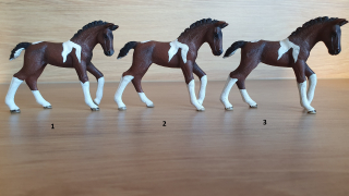 Hříbě koně Trakehnerského 13758, model 2013