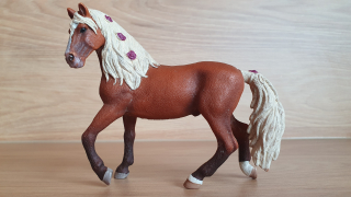 Hřebec Paso Fino 42468, model 2018