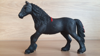 Fríská klisna 13749, model 2013
