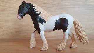 Tinkerský hřebec 13831, model 2016