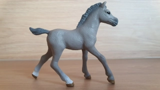 Arabské hříbě šedé 98270, model 2013