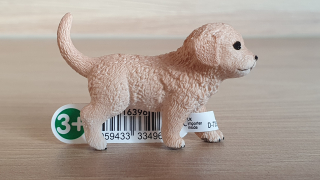 zlatý retrívr štěně 16396, model 2013, nové