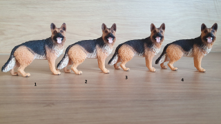 Německý ovčák  16831, model 2014