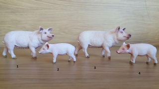 prasnice a sele 13782, model 2014