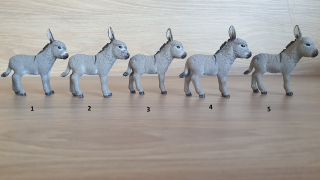 osel mládě 13746, model 2013