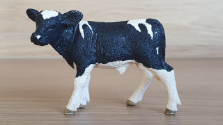 tele holštýnské  13798, model 2015