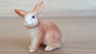 králík  13827, model 2016