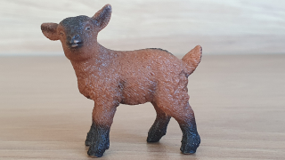 kůzle hnědé 13829, model 2016