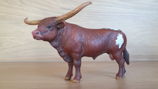 Býk longhornský  13866, model 2017