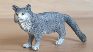 kočka Mainská 13893, model 2018