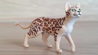 kočka bengálská 13918, model 2020