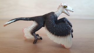 Microraptor  41461