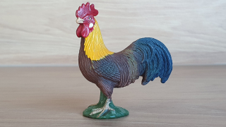 kohout  13645, model 2008